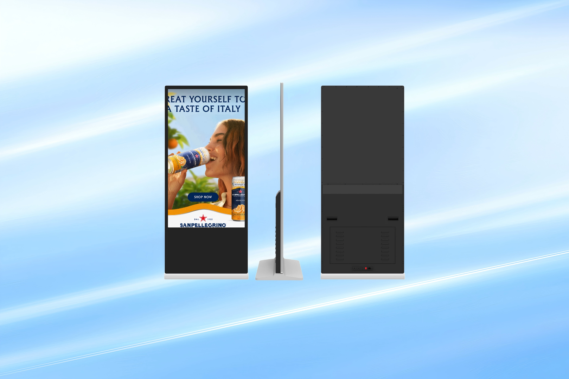 Vertical digital signage display terminal